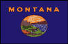 Montana flag